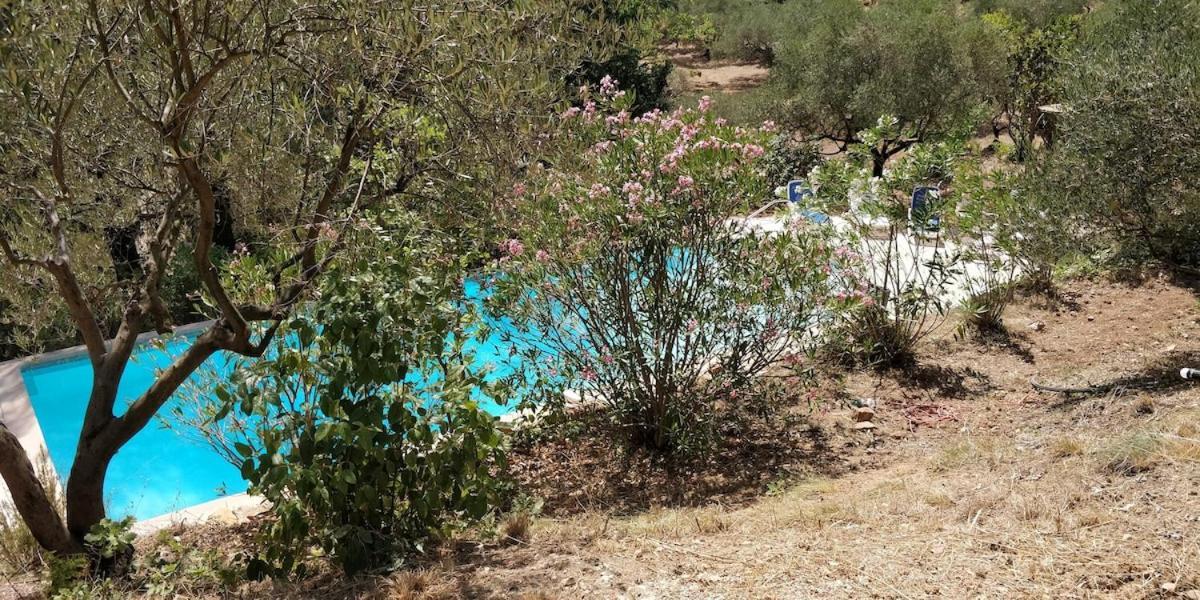 Villa Cigalons En Pleine Pinede Avec Piscine Chauffee De Mai A Septembre Auriol 외부 사진