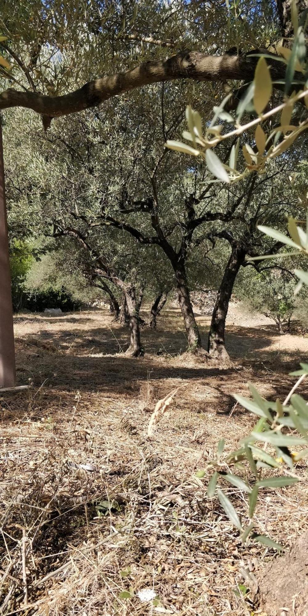 Villa Cigalons En Pleine Pinede Avec Piscine Chauffee De Mai A Septembre Auriol 외부 사진